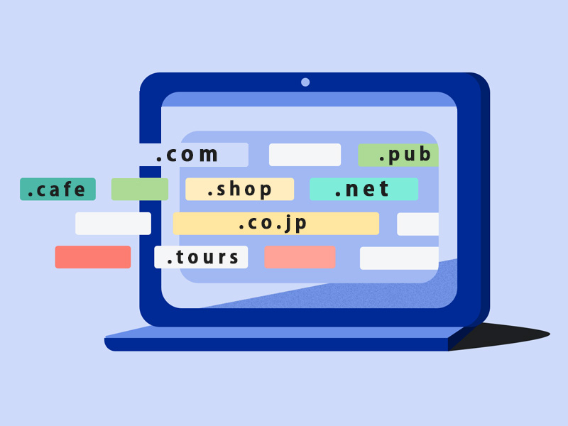 ANDOWS Original Domain Acquisition and Setup Support